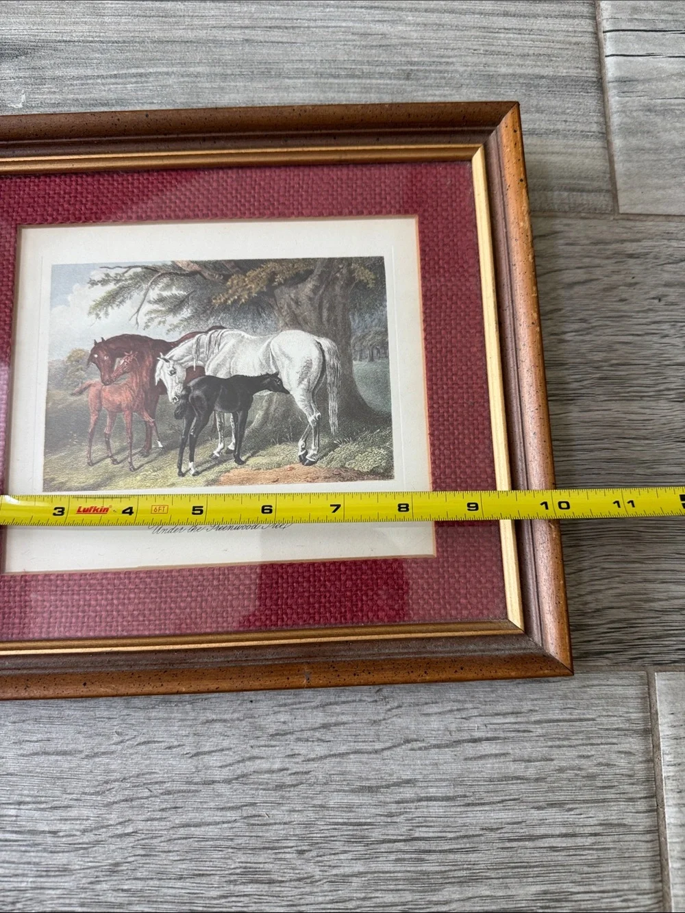 Framed Horse Print with Burgundy Mat and Wood Frame